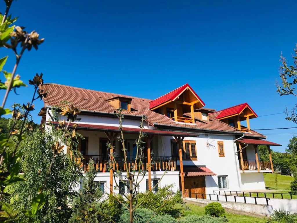 Vila Tara Hategului Exterior photo