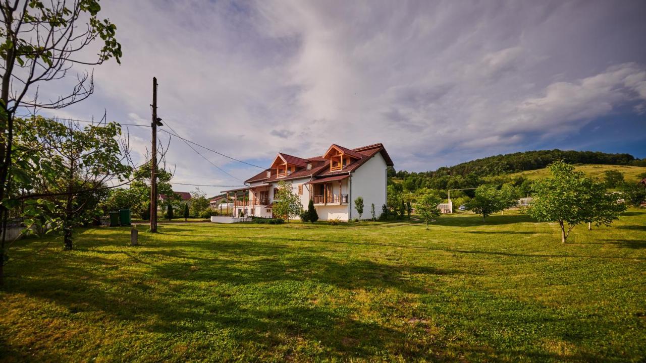 Vila Tara Hategului Exterior photo